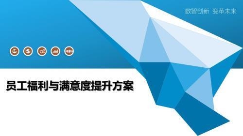 加固公司員工福利滿(mǎn)意度調(diào)查，加固公司員工福利滿(mǎn)意度調(diào)查，現(xiàn)狀、問(wèn)題與改進(jìn)策略