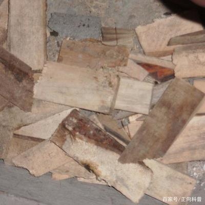 建筑加固材料成本控制技巧 行業(yè)新聞 第3張 建筑加固材料成本控制技巧 行業(yè)新聞 第3張