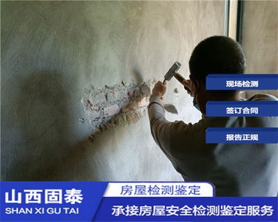 抗震加固技術(shù)的國際比較 行業(yè)新聞 第5張 抗震加固技術(shù)的國際比較 行業(yè)新聞 第5張