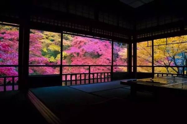 民宿設(shè)計(jì)效果圖 庭院，幾種不同風(fēng)格的標(biāo)題供你參考，，驚艷！民宿庭院設(shè)計(jì)效果圖大賞，邂逅詩(shī)意棲居，民宿庭院設(shè)計(jì)效果圖呈現(xiàn)，解鎖理想民宿范本，庭院設(shè)計(jì)效果圖集錦