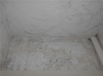 加固后建筑性能檢測(cè)方法，供你參考，你可以根據(jù)具體需求進(jìn)行選擇，，聚焦加固后建筑，精準(zhǔn)性能檢測(cè)方法全解析，解鎖加固后建筑性能檢測(cè)的科學(xué)方法，探秘加固后 行業(yè)新聞 第1張