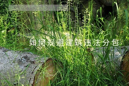 如何防止建筑加固過程中的違法分包，筑牢防線，有效遏制建筑加固工程違法 行業(yè)新聞 第1張