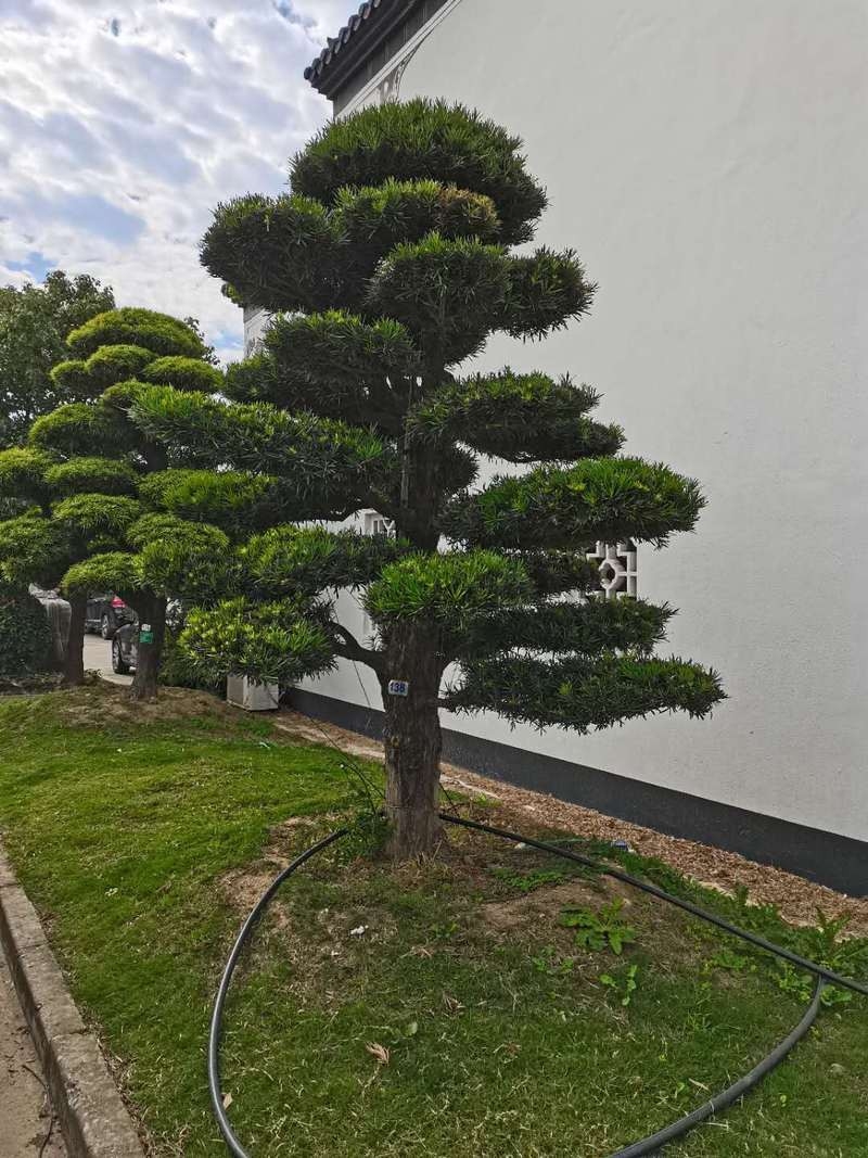 未央加固設(shè)計(jì)公司（未央加固設(shè)計(jì)公司哪家口碑最好？） 行業(yè)新聞 第4張